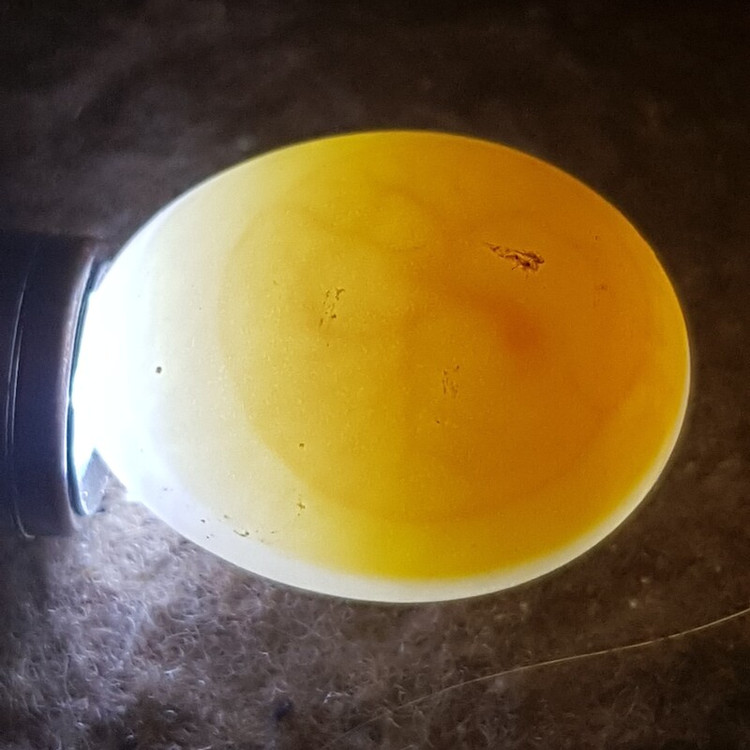 مادر مصنوعی جوجه کشی