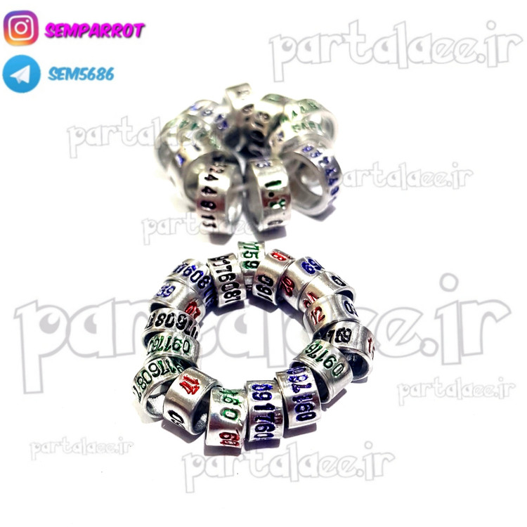 حلقه پا عروس هلندی و گرینچیک با شماره موبایل 4 عددی