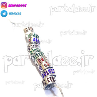 خرید و قیمت حلقه پا عروس هلندی و گرینچیک با شماره موبایل 4 عددی از partalaee حلقه پا عروس هلندی و گرینچیک با شماره موبایل 4 عددی - partalaee گرگان