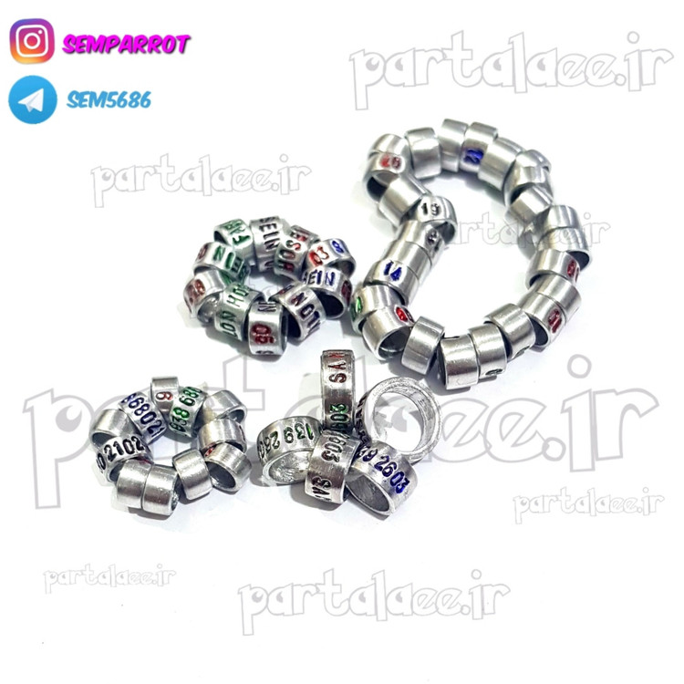 حلقه پا عروس هلندی و گرینچیک با شماره موبایل 4 عددی