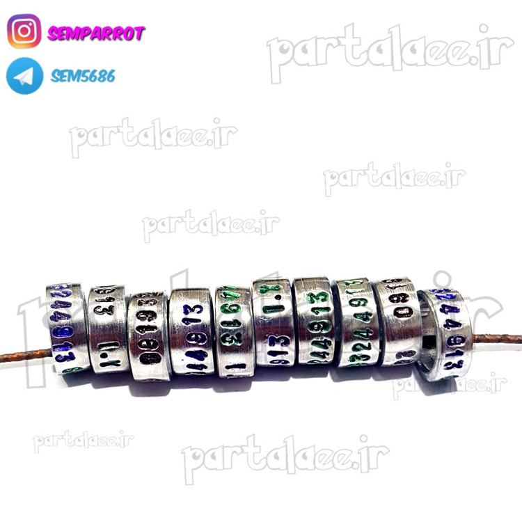 حلقه پای کبوتر پلاک پا بسته ۱۰ عددی با حک شماره موبایل و کد
