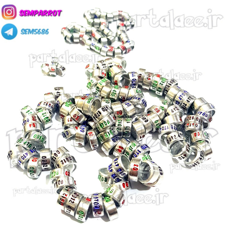 حلقه پای کبوتر پلاک پا بسته ۱۰ عددی با حک شماره موبایل و کد